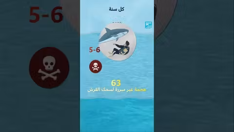 هجمات أسماك القرش: أرقام وحقائق حول عام 2023