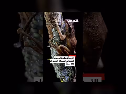 مصور يوثق بيض الضفادع في غابات مدغشقر