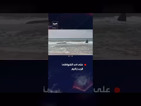 بحر زكيم يلفظ حوتاً ضخماً على أحد شواطئه