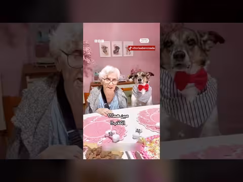 مسنة برازيلية تحتفل بعيد ميلادها وسط كلابها العشرة