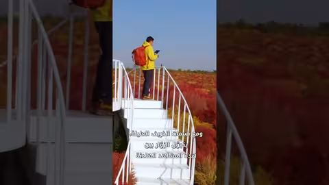 جبال تيان شان: ألوان الخريف تزين نبات الكوتشيا في شينجيانغ