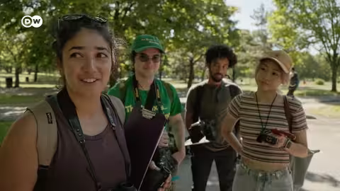 الحياة البرية في المدن: تكيف الحيوانات مع البيئة الحضرية