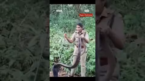 موظفة هندية تنقذ أفعى كوبرا ملكية