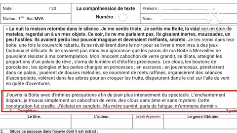 تحضير امتحان القسم الجهوي: قراءة وشرح نص 'الخزانة السحرية'