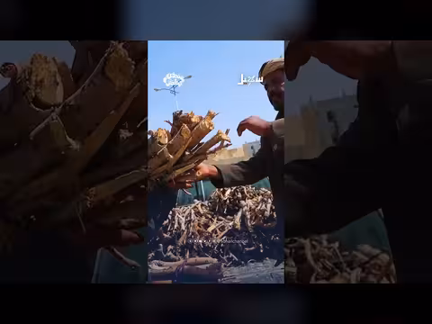 الصبر طريق الرزق: مشاهد من حياة الكادحين في اليمن