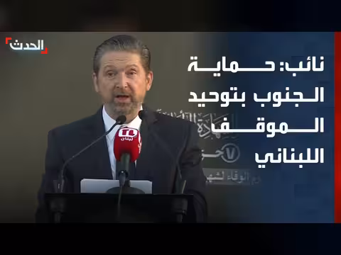 كرامي: حماية الجنوب تتطلب توحيد الموقف اللبناني