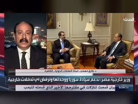 مسارات استراتيجية بين مصر وسوريا