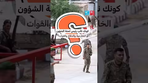 السيناتور الفرنسي أوليفيه كاديك يناقش دعم الجيش اللبناني والسيادة
