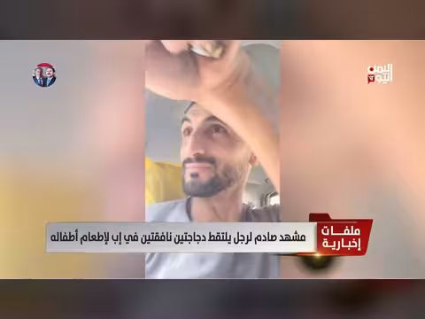 اليمن: أب يأخذ دجاجاً نافقاً لإطعام أطفاله - معاناة معيشية