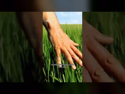 ساعاتنا البيولوجية: كيف تعمل وكيف تساعدنا؟