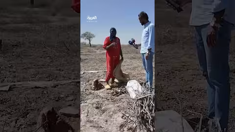 فقدان غابة السنط التاريخية في الخرطوم: فاجعة بيئية وجهود للتعافي