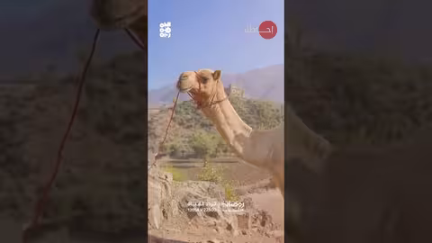 قناة الجمهورية: باقة برامجية رمضانية متنوعة ومسابقات وجوائز