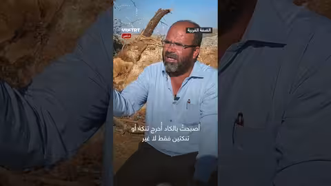 اقتلاع آلاف أشجار الزيتون في الضفة الغربية