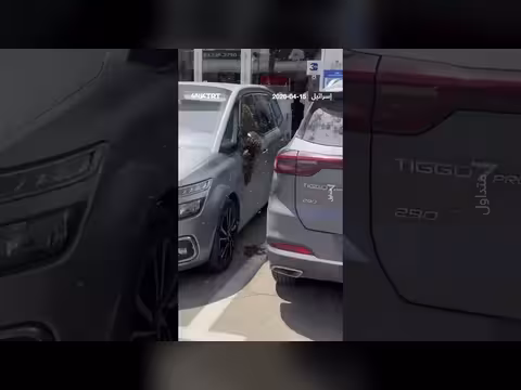 سرب النحل يجتاح مركزاً تجارياً في نتيفوت