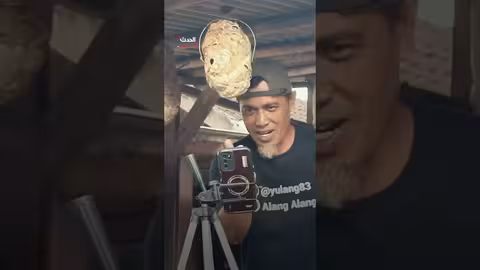 رجل إندونيسي ينقذ أعشاش الدبابير