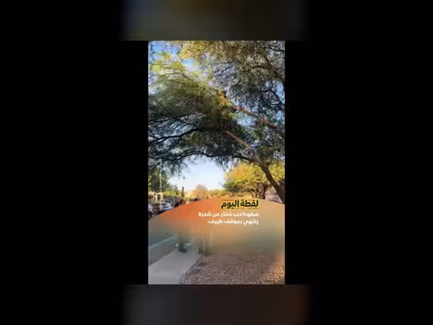 سقوط دب مخدر من شجرة في أريزونا