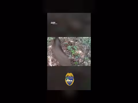 كلب بوليسي يعثر على طفلة هاربة في غابة