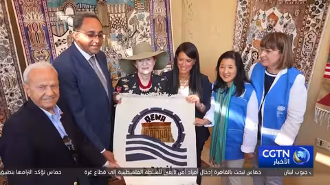 برنامج الأمم المتحدة الإنمائي: دعم مصر في التنمية الخضراء والرقمنة