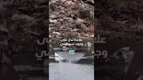 تسونامي اليابان 2011: كيف تشكلت الموجة المدمرة؟