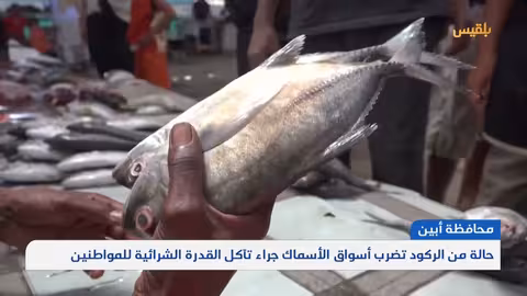 ارتفاع أسعار الأسماك وتدهور القدرة الشرائية في أبين
