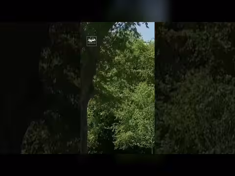 ترمب يتعرض لهجوم نحلة خلال حديثه للصحافيين