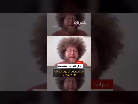 طيور تنسج أعشاشاً من كابلات الألياف الضوئية في أوكرانيا