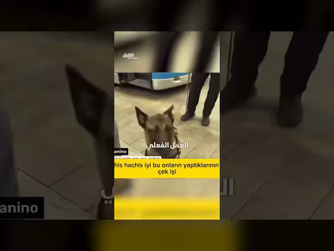 كلب مكافحة المخدرات يكشف راكبا يحمل مواد ممنوعة