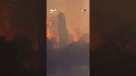 حرائق الغابات تجتاح قرى جبلية في قبرص