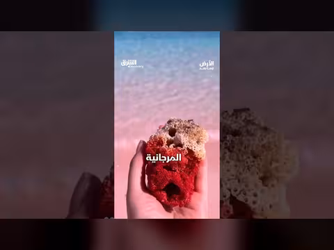 شاطئ وردي غير عادي