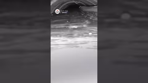 الجيش الإسرائيلي يكشف مشاهد لصب خرسانة في نفق يُزعم تواجد السنوار به