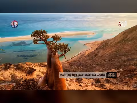 سقطرى: مملكة النباتات النادرة