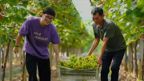 التنمية والأمن: وجهان لعملة واحدة