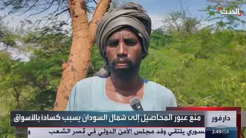 حرب السودان: تراجع الأراضي الزراعية وركود الأسواق في دارفور