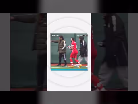 إسطنبول: توقف مباراة كرة قدم لإنقاذ نورس أصابته كرة