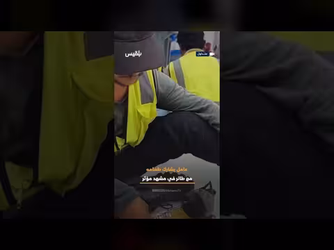 عامل في الحرم المكي يطعم طائراً