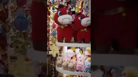 دمية الحصان الباكي تثير ضجة في الصين