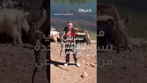 مغامرة لبنانية: سبّاح يسبح مع أفعى الأناكوندا في تنورين