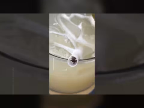 الضيف المفاجئ