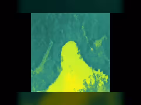 الشرطة الصينية تستعيد جاموسًا ضائعًا باستخدام طائرة مسيّرة