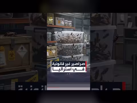 أستراليا تضبط أكبر شحنة حشرات غير قانونية
