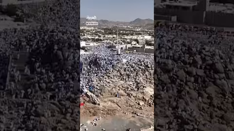 شجرة زيتون عمرها 400 عام تُستخدم لخدمة الحجاج