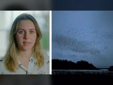 وسائل تواصل الحيوانات الخفية