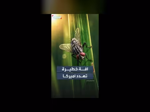 وزارة الزراعة الأميركية تعلن عن آفة خطيرة تهدد الثروة الحيوانية