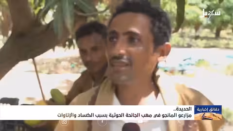 كساد المانجو في اليمن بسبب الجائحة الحوثية