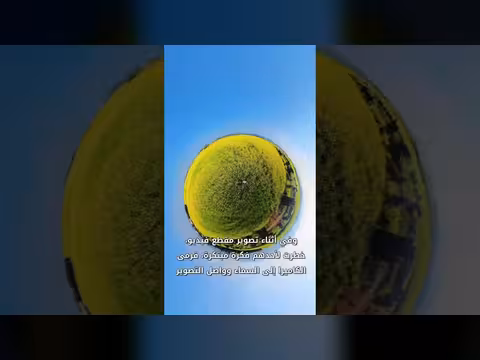 أزهار اللفت تزين جنوب الصين ببحر ذهبي