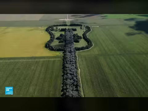 فن الطبيعة في الأرجنتين