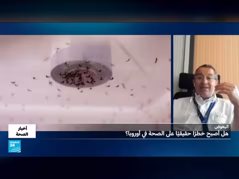 هل أصبح البعوض خطرا على الصحة؟