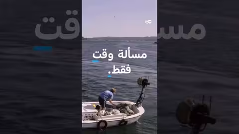 مخاط البحر يهدد بحر مرمرة في تركيا