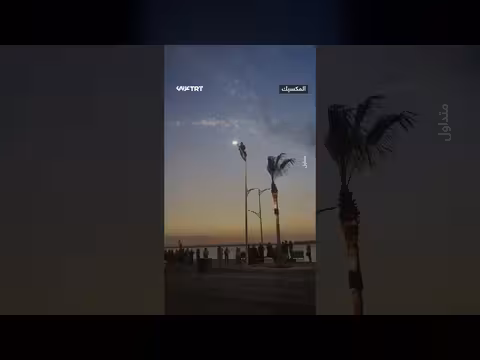 شاب يتسلق عمود إنارة لإنقاذ نورس في المكسيك