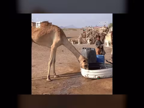 إنسانية المقاومة الوطنية تكمل مشروع مياه الماجلية في ذباب